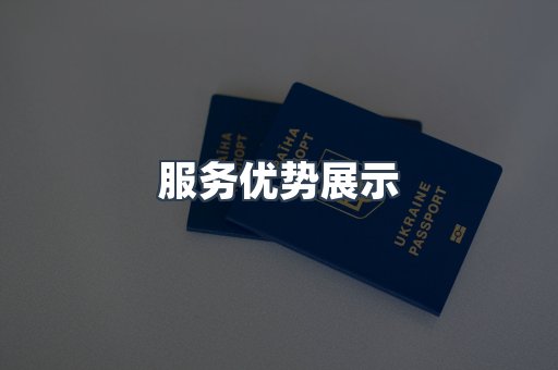 服务优势展示